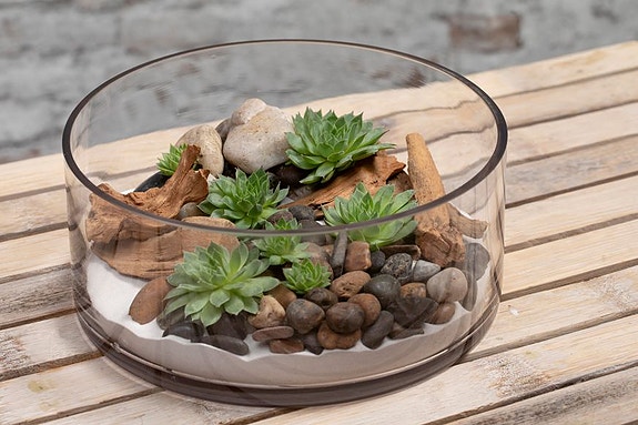 Bilde 5 av 14 i jobbannonse-galleriet