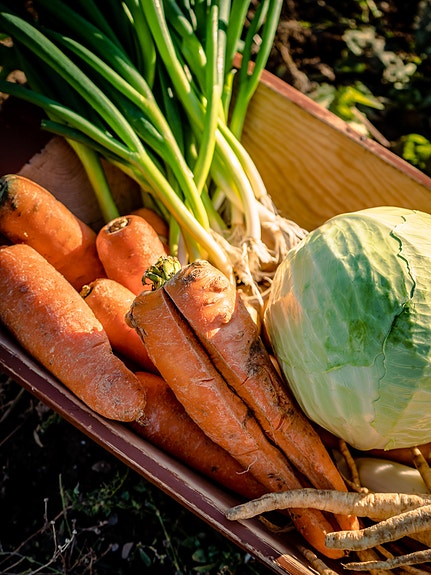 Bilde 3 av 8 i jobbannonse-galleriet