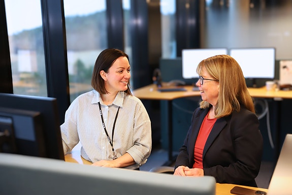 Bilde 2 av 3 i jobbannonse-galleriet