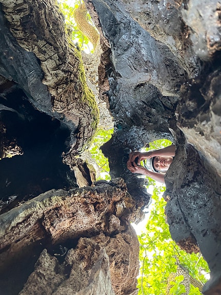 Klatrende inspeskjon avtrær