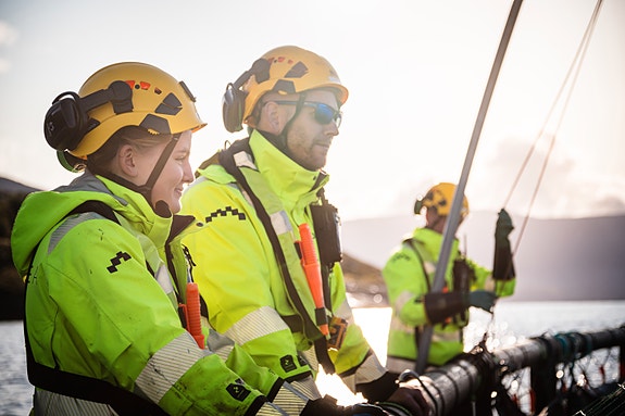 Bilde 1 av 4 i jobbannonse-galleriet