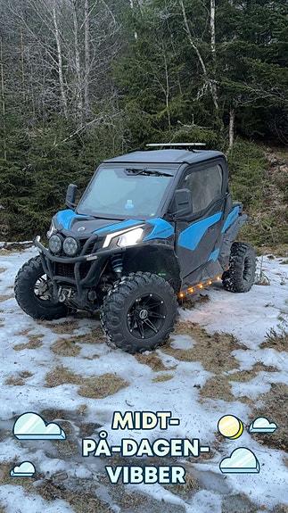 Can-Am Maverick Trail 800 T 4 of 9