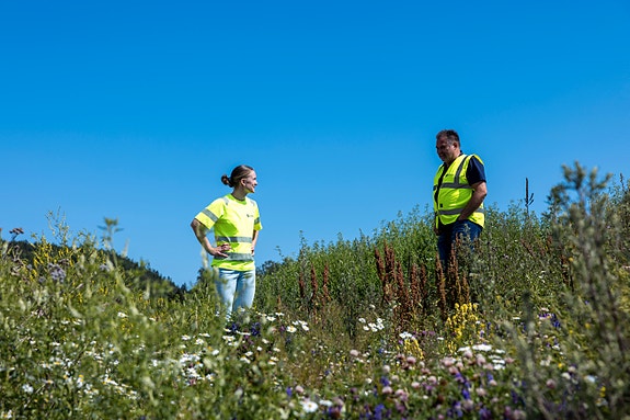 Bilde 4 av 6 i jobbannonse-galleriet