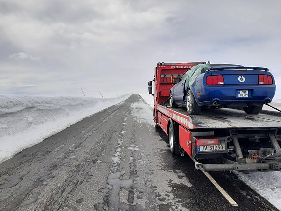 Bilde 1 av 6 i jobbannonse-galleriet