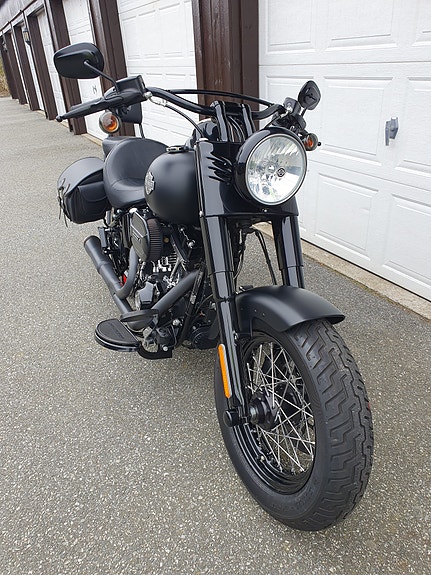 Harley-Davidson FLSS Softail Slim S 2 of 30