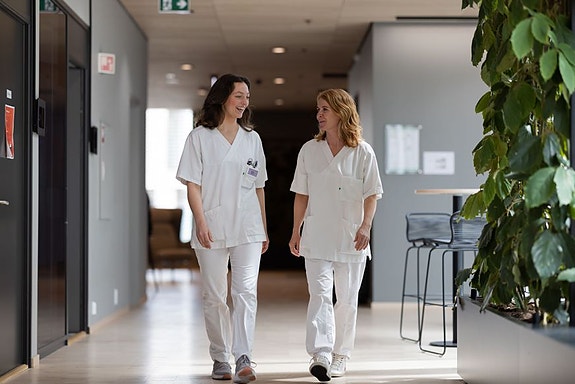 Bilde 1 av 1 i jobbannonse-galleriet