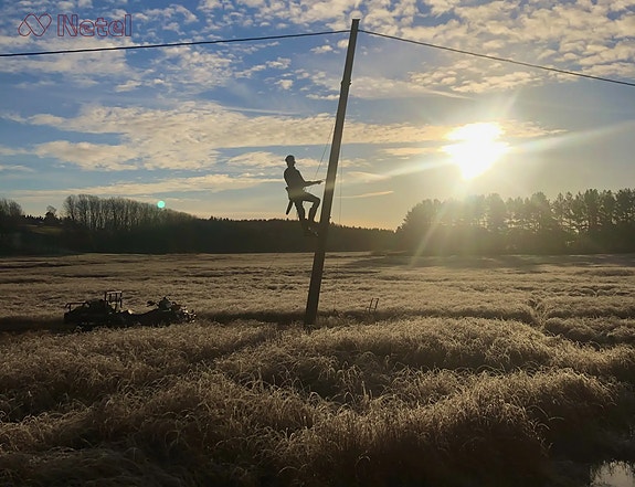 Bilde 1 av 1 i jobbannonse-galleriet