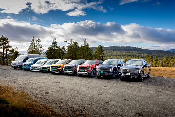 Bilde 6 av 7 i jobbannonse-galleriet