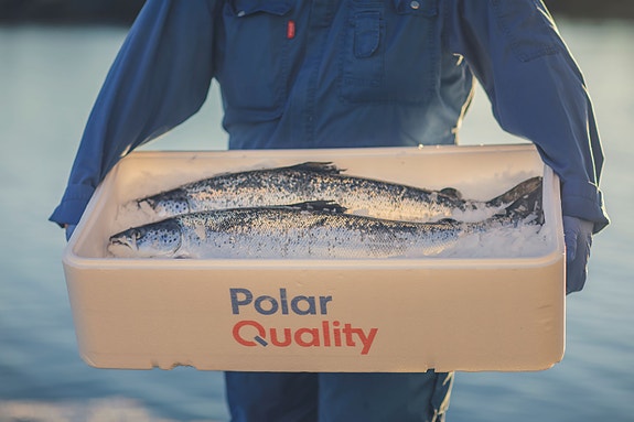 Bilde 5 av 6 i jobbannonse-galleriet