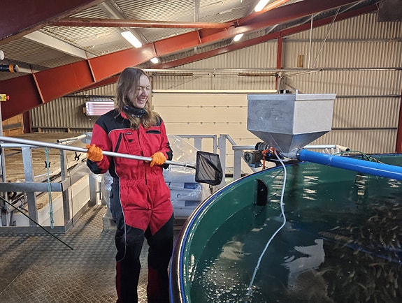 Bilde 2 av 5 i jobbannonse-galleriet