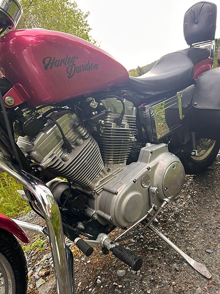 Harley-Davidson XL 883 Sportster 11 of 21