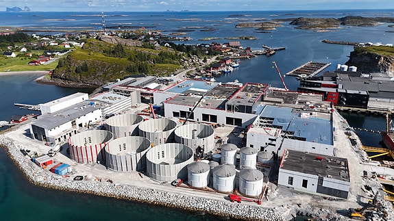 Nova Sea. Montering av slakteri og holdetanke.