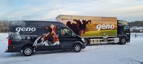 Bilde 1 av 1 i jobbannonse-galleriet