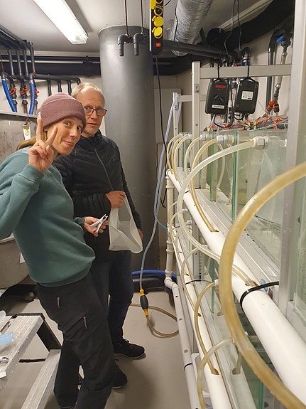 Bilde 4 av 4 i jobbannonse-galleriet