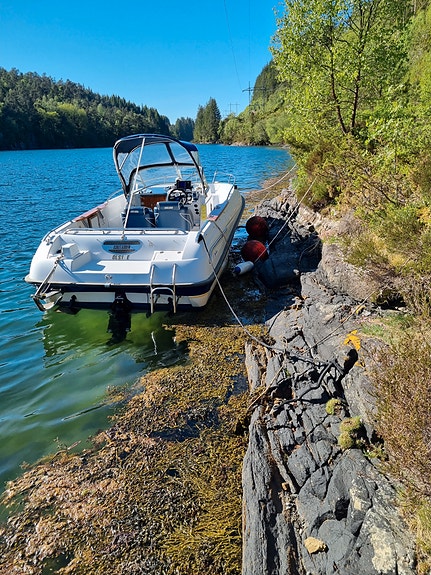 Askeladden Spider, 116 hk Mercruiser 4 of 26