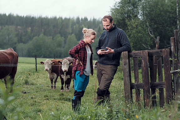 Bilde 5 av 6 i jobbannonse-galleriet