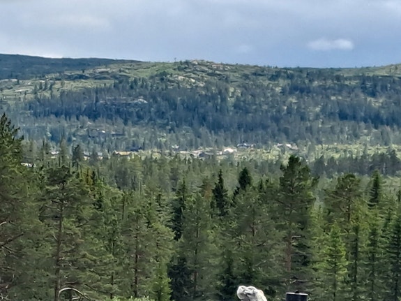 Hobby 650 KFU P. Står på Blåberg Camping 5 of 12
