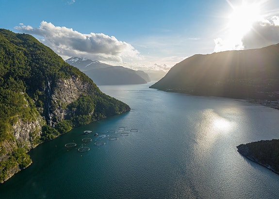 Bilde 3 av 3 i jobbannonse-galleriet