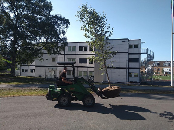 Bilde 5 av 7 i jobbannonse-galleriet