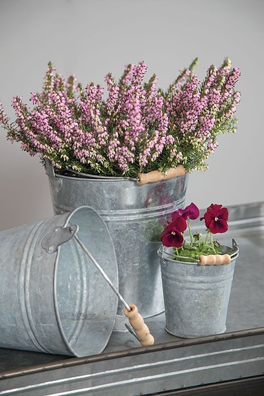 Bilde 14 av 14 i jobbannonse-galleriet