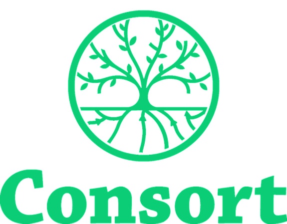 Consort AS logo