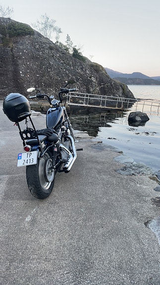 Harley-Davidson XL 883 Sportster 3 of 10