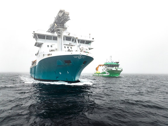 Bilde 1 av 1 i jobbannonse-galleriet