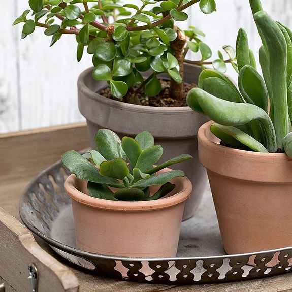 Bilde 2 av 14 i jobbannonse-galleriet