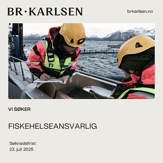 Bilde 1 av 1 i jobbannonse-galleriet