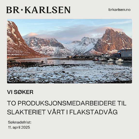 Bilde 1 av 2 i jobbannonse-galleriet