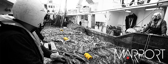 Bilde 1 av 3 i jobbannonse-galleriet