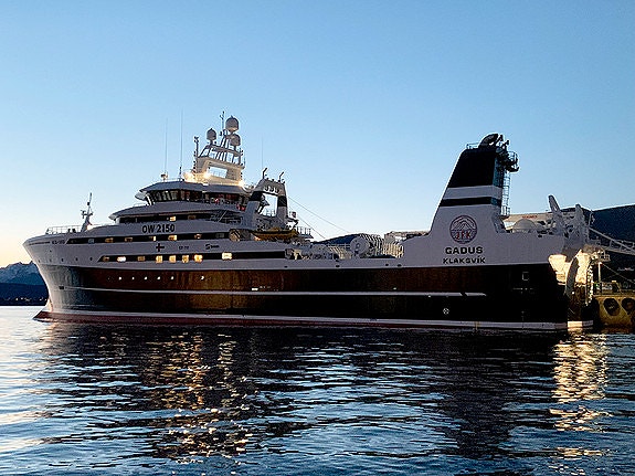 Bilde 2 av 3 i jobbannonse-galleriet