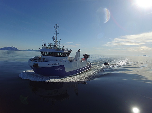 Bilde 3 av 9 i jobbannonse-galleriet