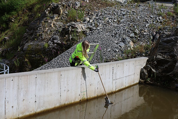 Bilde 1 av 3 i jobbannonse-galleriet