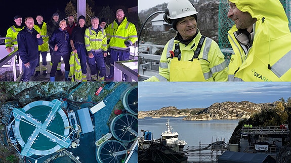 Bilde 1 av 1 i jobbannonse-galleriet