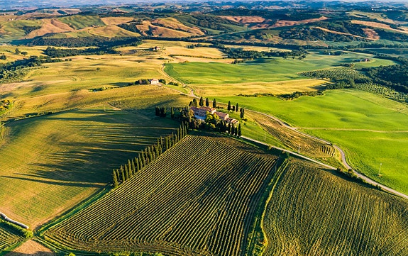 Bilde 2 av 4 i jobbannonse-galleriet