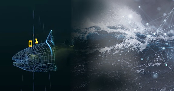 Bilde 2 av 3 i jobbannonse-galleriet