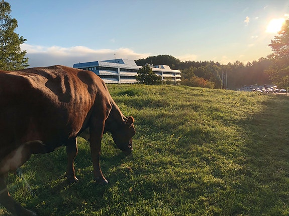 Bilde 1 av 2 i jobbannonse-galleriet
