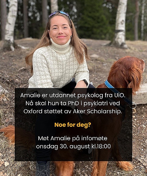 Info-møter