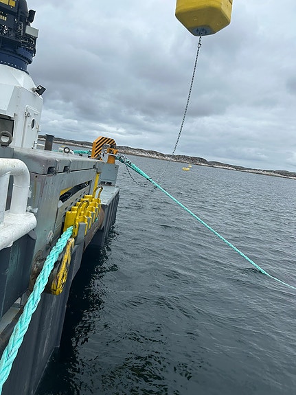 Bilde 2 av 8 i jobbannonse-galleriet