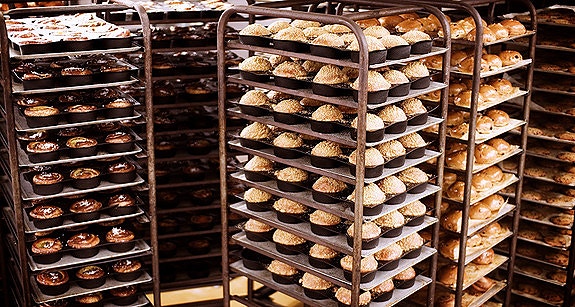 Bilde 1 av 4 i jobbannonse-galleriet