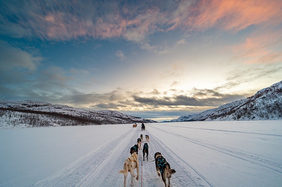 Bilde 1 av 10 i jobbannonse-galleriet