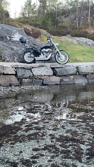 Harley-Davidson XL 883 Sportster 2 of 10