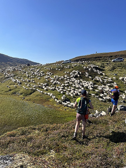 Bilde 8 av 10 i jobbannonse-galleriet