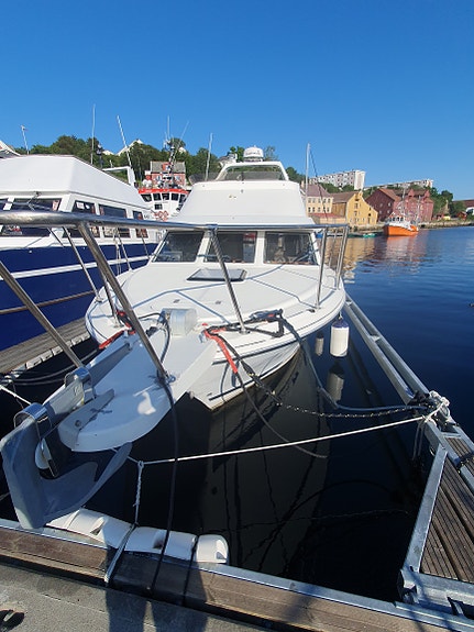 Bayliner Ciera 2858 Command Bridge 3 of 5