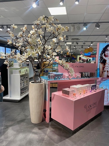 Bilde 1 av 7 i jobbannonse-galleriet