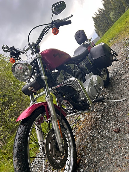 Harley-Davidson XL 883 Sportster 10 of 21
