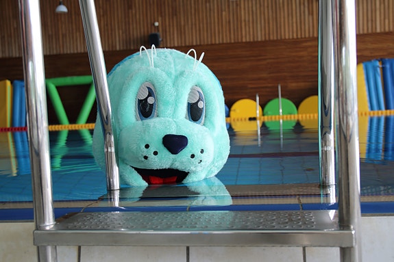 Bilde 4 av 4 i jobbannonse-galleriet