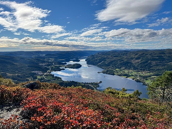 Bilde 8 av 10 i jobbannonse-galleriet