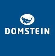 Domstein logo